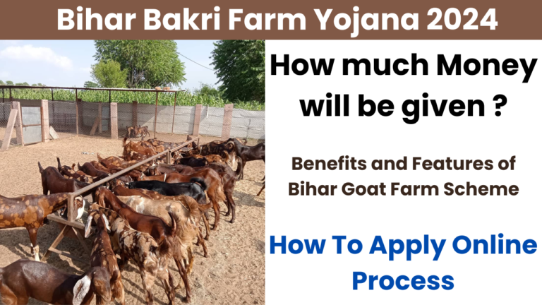 Bihar Bakri Farm Yojana