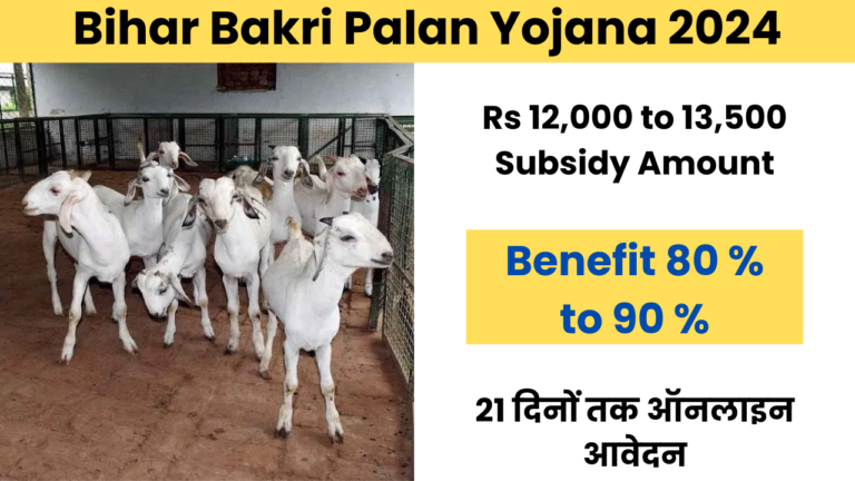 Bihar Bakri Palan Yojana 2024