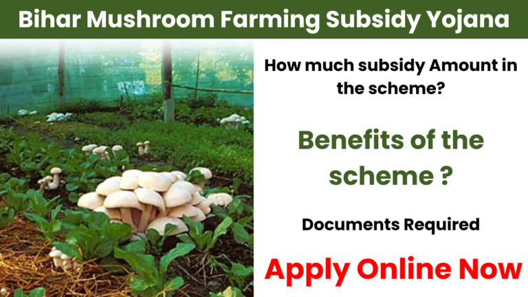 Bihar Mushroom Farming Subsidy Yojana